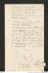 Seite 19, Tagebuch "1919 | Lang-Mannersdorf | Heft 1" (NHMW-PRAE-BBB-09)